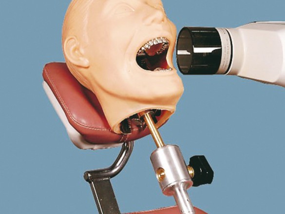 Quart Dental X-Ray Training Phantom